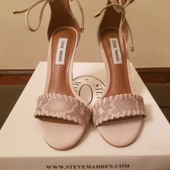 Steve Shoes - Steve Madden Sallie Snake Snake Sandal